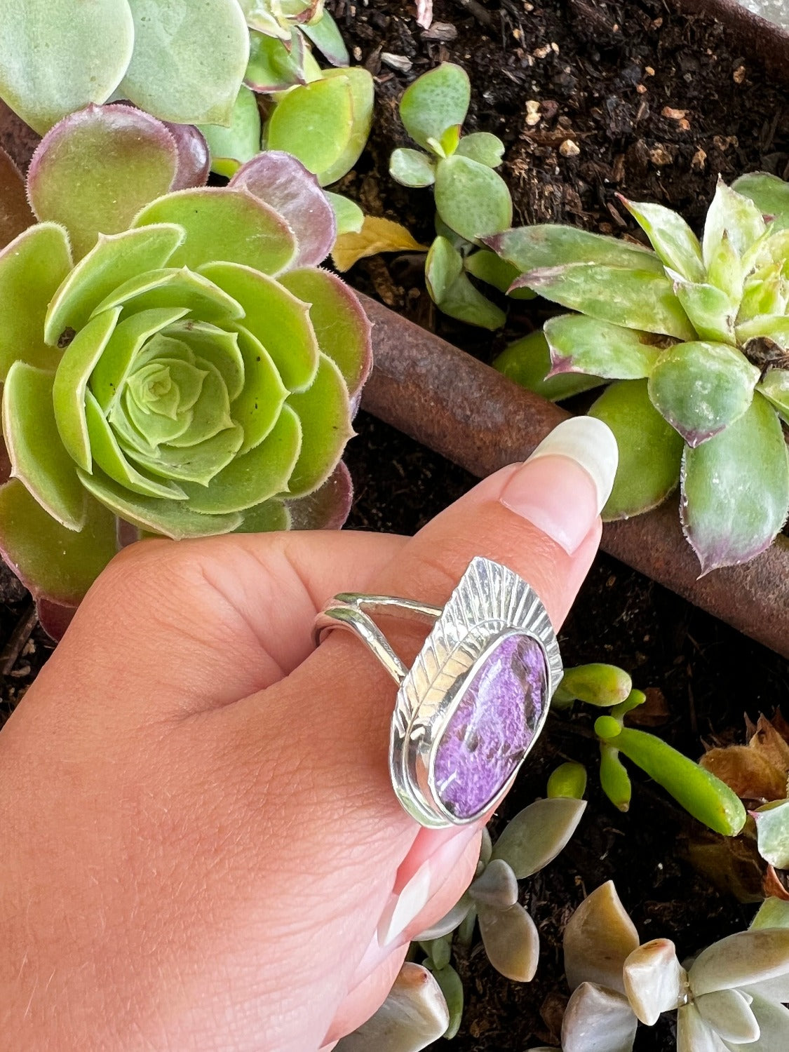 Charoite in Sunburst Sterling Silver ring, size 7